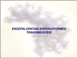 ENCEFALOPATIAS ESPONGIFORMES TRANSMISSÍVEIS
