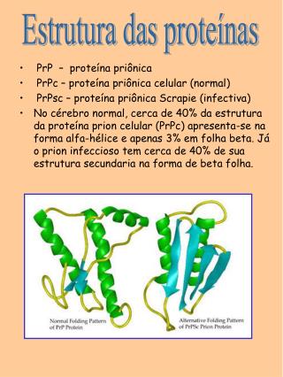 Estrutura das proteínas