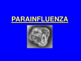 PARAINFLUENZA