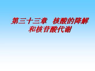 第三十三章 核酸的降解和核苷酸代谢