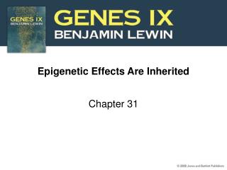 Epigenetic Effects Are Inherited