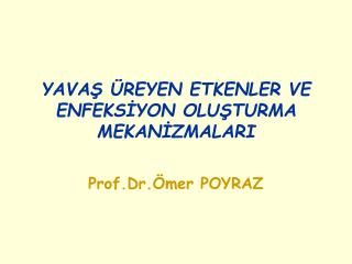 YAVAŞ ÜREYEN ETKENLER VE ENFEKSİYON OLUŞTURMA MEKANİZMALARI