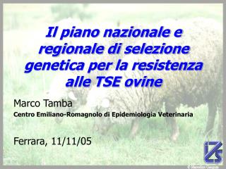 Il piano nazionale e regionale di selezione genetica per la resistenza alle TSE ovine