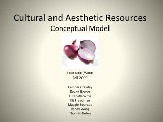 Cultural and Aesthetic Resources Conceptual Model