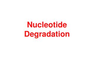 Nucleotide Degradation