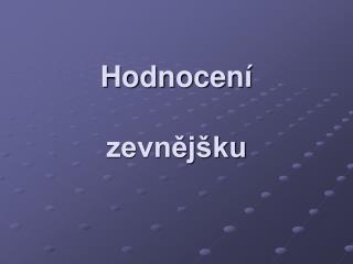 Hodnocení zevnějšku