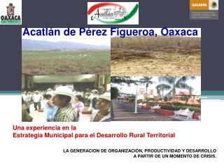 Una experiencia en la Estrategia Municipal para el Desarrollo Rural Territorial