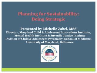 Planning for Sustainability: Being Strategic Presented by Michelle Zabel, MSS
