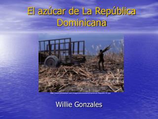 El azúcar de La República Dominicana