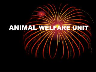 ANIMAL WELFARE UNIT