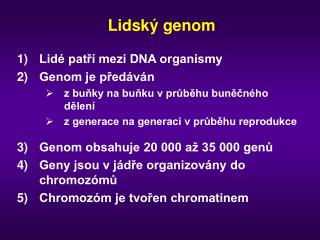Lidský genom