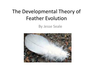 The Developmental Theory of Feather Evolution