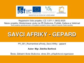 SAVCI AFRIKY - GEPARD