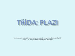 Třída: Plazi