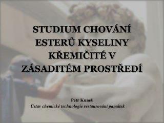 STUDIUM CHOVÁNÍ ESTERŮ KYSELINY KŘEMIČITÉ V ZÁSADITÉM PROSTŘEDÍ