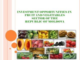 INVESTMENT OPPORTUNITIES IN  FRUIT AND VEGETABLES SECTOR OF THE REPUBLIC OF MOLDOVA