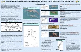 Introduction of the Siberian prawn Exopalaemon modestus to the Sacramento-San Joaquin Delta
