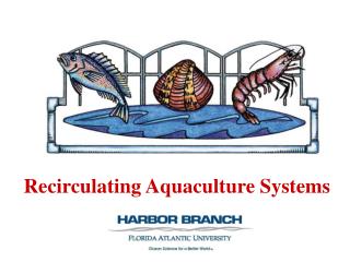 Recirculating Aquaculture Systems