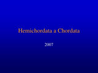 Hemichordata a Chordata