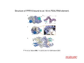 P Yin et al. Nature 000 , 1 - 4 (2013) doi:10.1038/nature12651