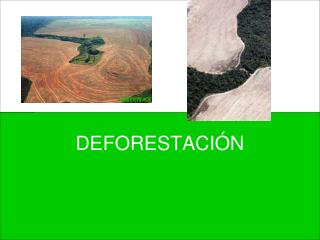 DEFORESTACIÓN