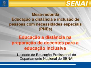 Mesa-redonda Educação a distância e inclusão de pessoas com necessidades especiais (PNEs)