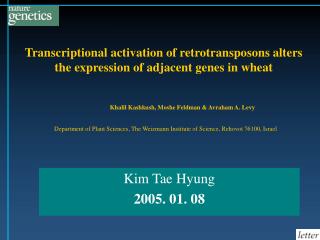 Transcriptional activation of retrotransposons alters the expression of adjacent genes in wheat