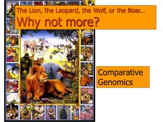 The Lion, the Leopard, the Wolf, or the Boar… Why not more?