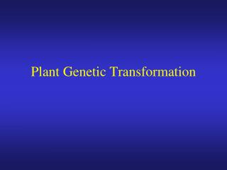 Plant Genetic Transformation