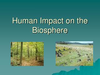 Human Impact on the Biosphere