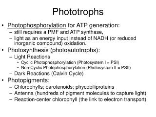 Phototrophs