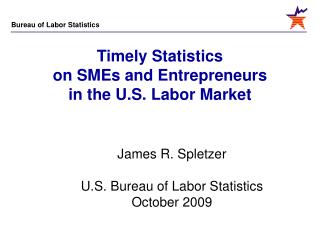 Timely Statistics on SMEs and Entrepreneurs in the U.S. Labor Market