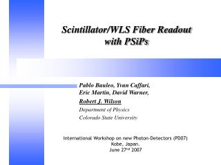 Scintillator/WLS Fiber Readout with PSiPs