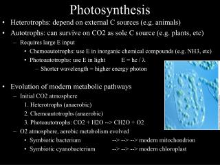 Photosynthesis