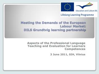 Meeting the Demands of the European Labour Market: DILS Grundtvig learning partnership