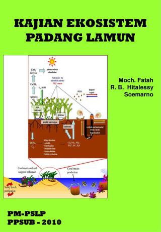 KAJIAN EKOSISTEM PADANG LAMUN Moch. Fatah R. B. Hitalessy Soemarno PM-PSLP PPSUB - 2010