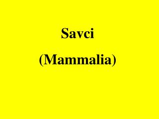 Savci (Mammalia)