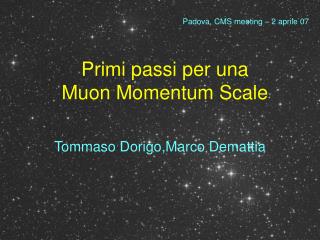 Primi passi per una Muon Momentum Scale