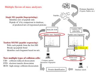 Multiple flavors of mass analyzers