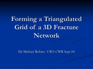 Forming a Triangulated Grid of a 3D Fracture Network