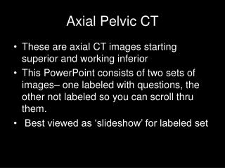 Axial Pelvic CT