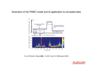 H Li &amp; R Durbin Nature 000 , 1-4 (2011) doi:10.1038/nature10231