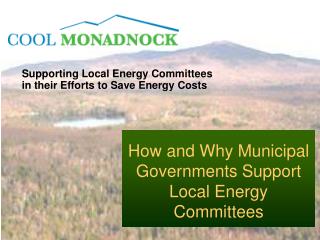 Supporting Local Energy Committees in their Efforts to Save Energy Costs
