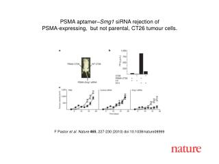 F Pastor et al. Nature 465 , 227 - 230 (2010) doi:10.1038/nature08 999