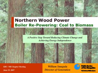 Northern Wood Power Boiler Re-Powering: Coal to Biomass