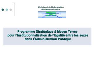 Programme Strat é gique à Moyen Terme