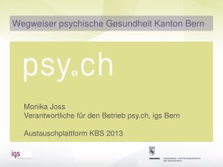 Monika Joss Verantwortliche für den Betrieb psy.ch, igs Bern Austauschplattform KBS 2013