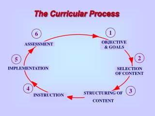 The Curricular Process