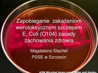 Zapobieganie zakażeniom werotoksycznym szczepem E. Coli (O104) zasady zachowania zdrowia