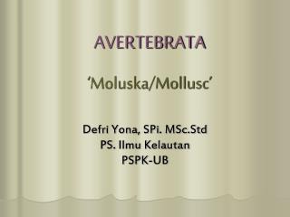 AVERTEBRATA ‘ Moluska /Mollusc’